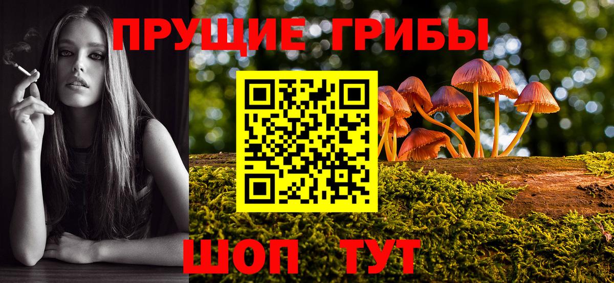 Северобайкальск  Псилоцибиновые грибы мухоморы  Псилоцибиновые грибы MAGIC MUSHROOMS  Вход с VPN 