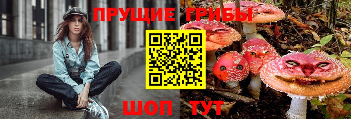 Галлюциногенные грибы GOLDEN TEACHER Северобайкальск