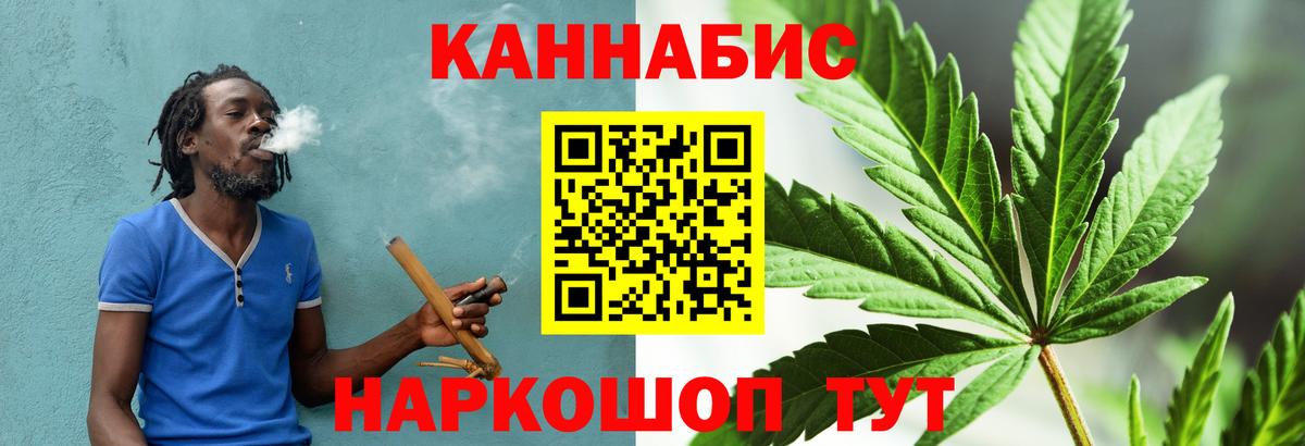 Бошки марихуана конопля Северобайкальск